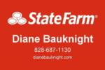 Dian Bauknight State Farm agent